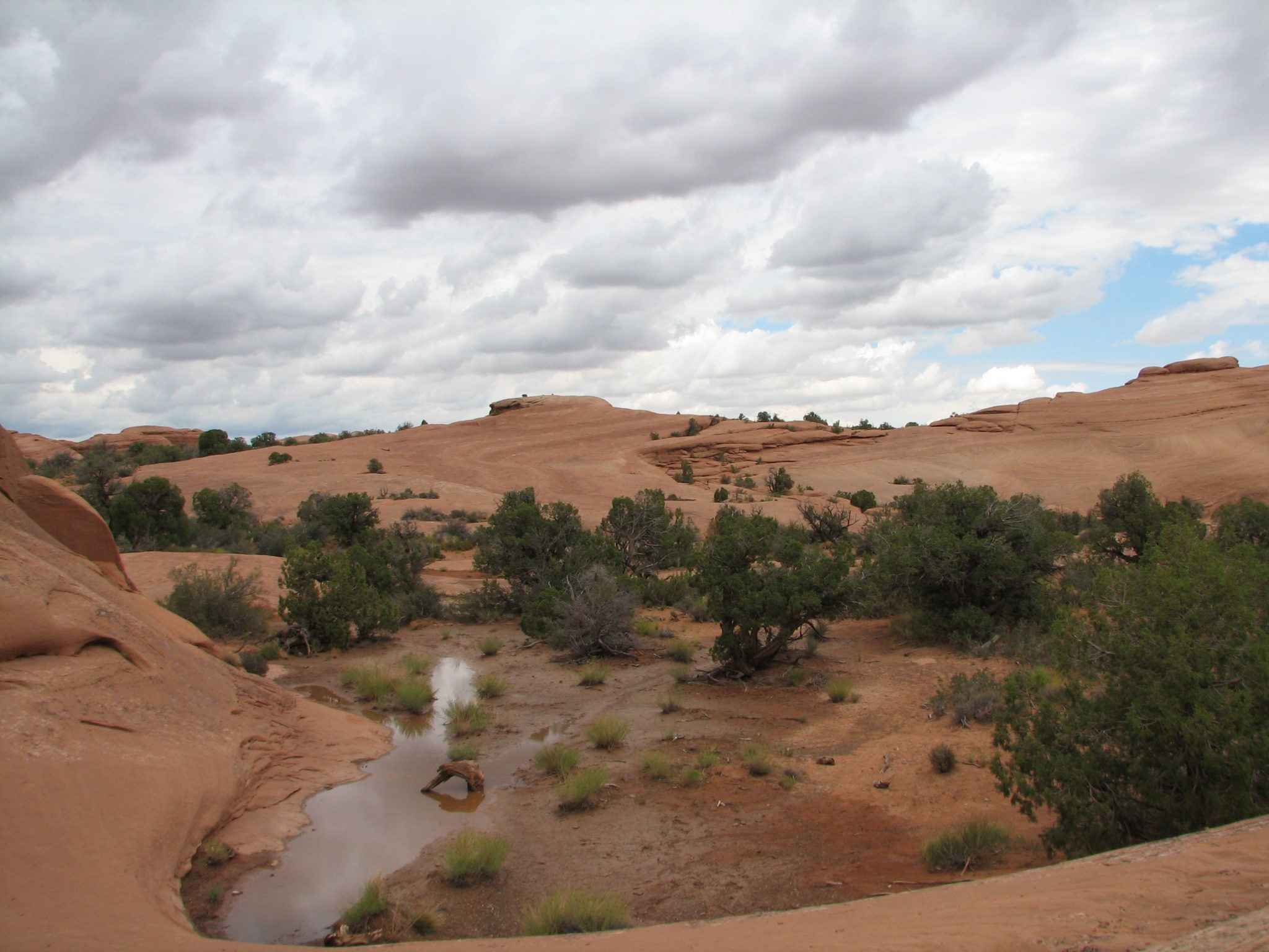 Arches National Park