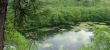 Pond in Old Furnace State Park